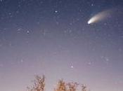 Quelles sont différences entre comètes, météores astéroïdes