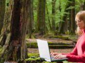 Planter arbres faisant recherches Internet