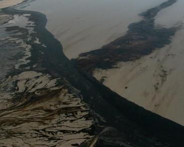 Marée noire dans le Golfe du Mexique – point d’étape sur la mobilisation