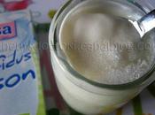 Yaourts bifidus avec ferments lactiques ALSA spécial yaourtière