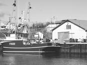 L’avenir jeunes Gaspésie