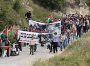 Rejoignez l'intifada mondiale Palestine