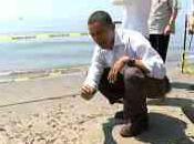 Marée noire "Jerrican" Life d'Obama