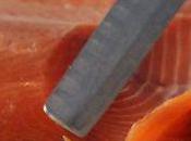Etats-Unis pourraient autoriser saumon génétiquement modifié