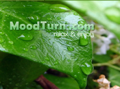 Relaxez-vous avec MoodTurn