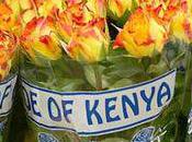 Comparaison bouquet roses entre Pays Kenya