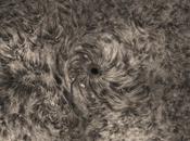 Tourbillon magnétique autour tache solaire 1084