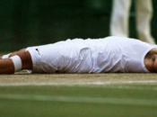Wimbledon Nadal dans jardin gazon