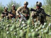 financement guerre Afghanistan (counterpunch)
