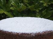 torta caprese gâteau sans farine l'île Capri