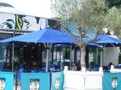 studio grill relooké