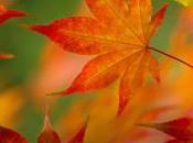 Apprendre définitivement quelque chose pour être Génie!