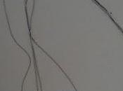 Sautoir oiseau branche