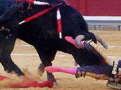 corrida Catalogne