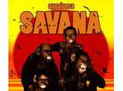 Appaloosa Savana