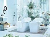 plantes dans votre salle bains