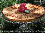 Tarte Nectarines crème Nougat