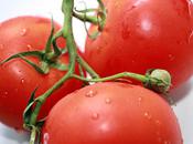 Salsa fraîche tomates