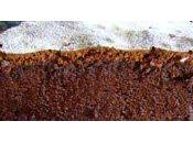 Gâteau mousse chocolat Nigella lawson
