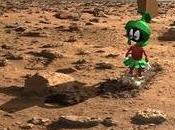 Martiens Sainte-Rose