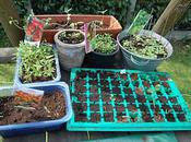 vacances, c'est aussi...