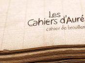 "Les Cahiers d'Auré" concert gratuit demain soir Port Plaisance Calvi