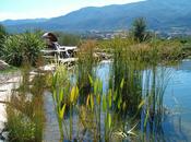 Piscines naturelles/biologiques