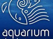 L'aquarium Nouméa beaux spécimens