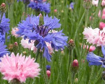 Waka de Otomo no Yakamochi ... de la poésie japonaise classique