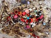 Great Pacific Garbage Patch bataille (perdue) Midway