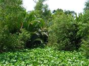 Trois savoyards Viêt