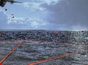 solution pour lutter contre marées noires