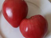 Rose Berne tomate épatante