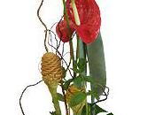 FLORATHEQUE, fleuriste Interflora Hyères