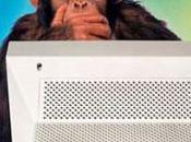 [Joke] Monkey programmers consultants