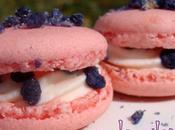 Macarons barbe papa violettes