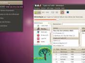 Installer plugin Flash Firefox pour Ubuntu 10.04