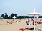 Donald's Beach Umbrella