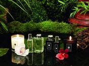 Kohdo voie l’encens Malone