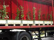 Nature Capitale camions biodiversité» attente bois Vincennes avant Champs Elysées