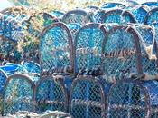 Clic-Clac Nasse, d'ac