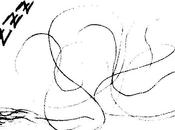 Guide vermine urbaine