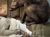 jour sanglier ventre [Digestion]