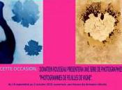 Exposition photogrammes feuilles vignes DONATIEN ROUSSEAU