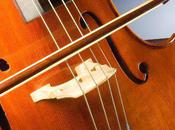 L'IMAGE JOUR: Violoncelle