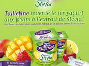 Green Healthy Taillefine Stévia