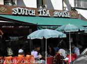 Denia mazzola gavazzeni, cantatrice remarquable humaniste