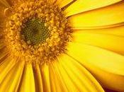 Maman, avais grande foi, peux-tu parler Dieu