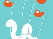 Faille Twitter l’oiseau mangé