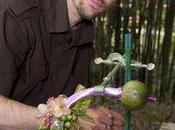 Coupe Espoir interflora région centre